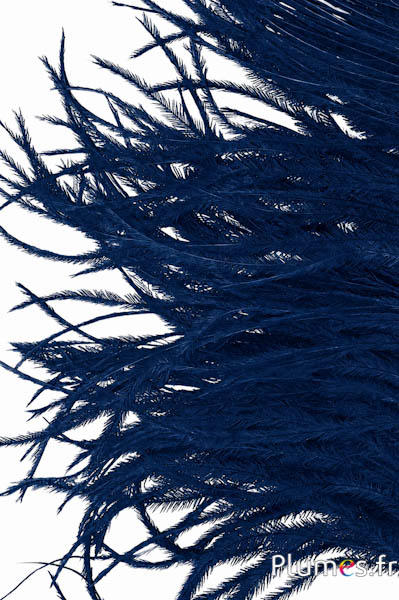 Struisvogel  baardjes - 8-15 cm - donkerblauw